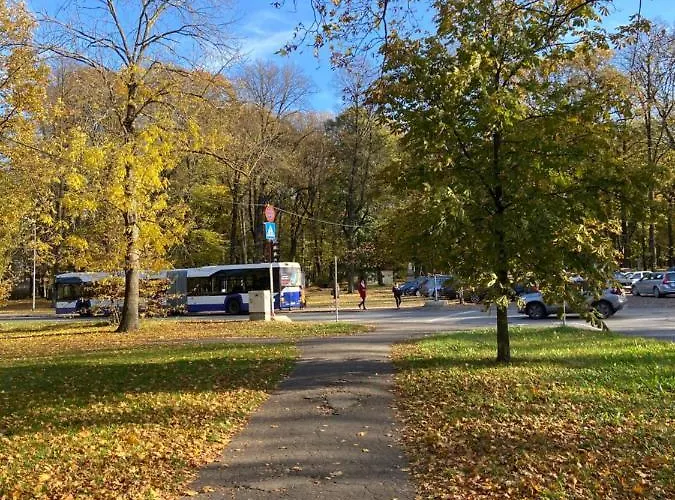 Self Check In Miera Art Apartment